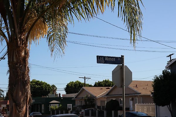 26.17717.LosAlimos.GranadaHills 26.17717.LosAlimos.GranadaHills