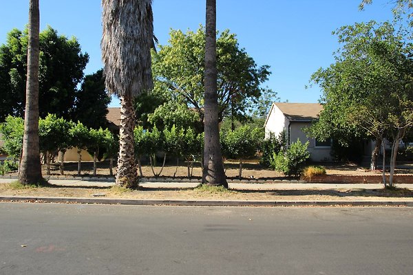 49.17717.LosAlimos.GranadaHills 49.17717.LosAlimos.GranadaHills