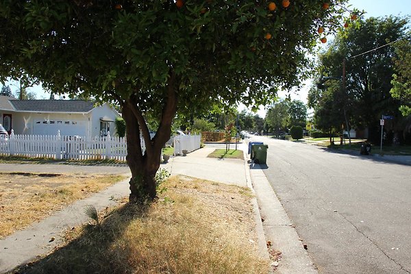 30.17057.LosAlimos.GranadaHills 30.17057.LosAlimos.GranadaHills