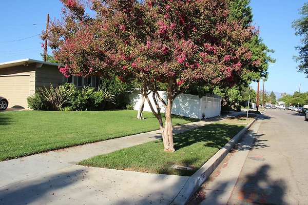 23.17057.LosAlimos.GranadaHills 23.17057.LosAlimos.GranadaHills