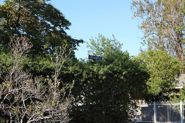 57.17608.LosAlimos.GranadaHills