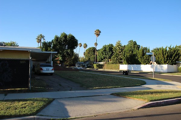 03.19592.Ingomar.St.Reseda 03.19592.Ingomar.St.Reseda