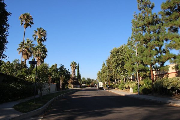 14.19409.Lull.St.Reseda