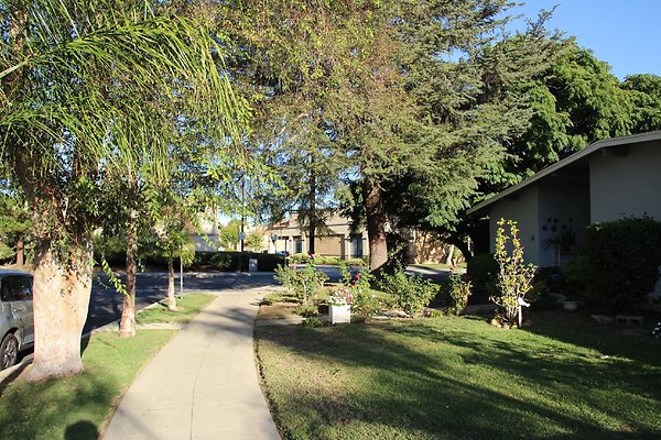 27.19409.Lull.St.Reseda