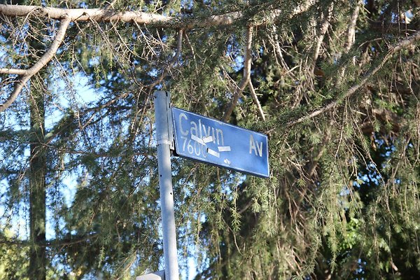 45.19409.Lull.St.Reseda