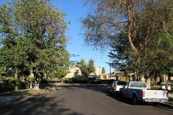 04.19409.Lull.St.Reseda