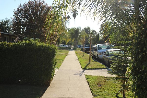 28.19409.Lull.St.Reseda