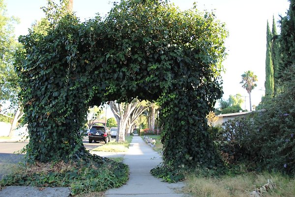 22.7612.Bothwell.Rd.Reseda 22.7612.Bothwell.Rd.Reseda