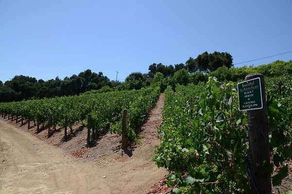 Rosenthal.Winery.Malibu.09