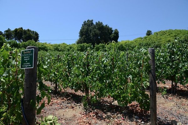 Rosenthal.Winery.Malibu.10