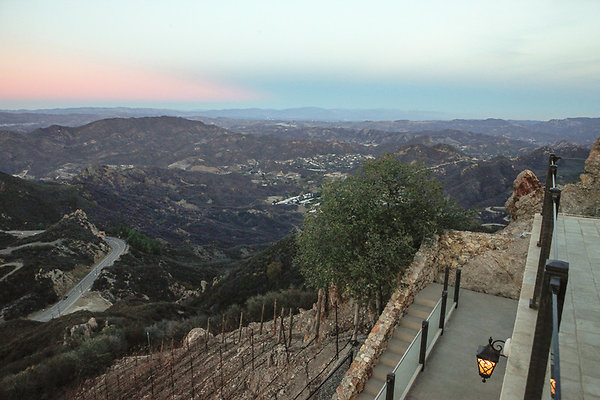 Rocky.Oaks.Vineyard.101