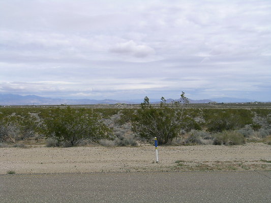 DSCN5607