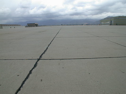 DSCN0513