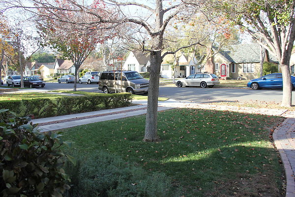 IMG 9805