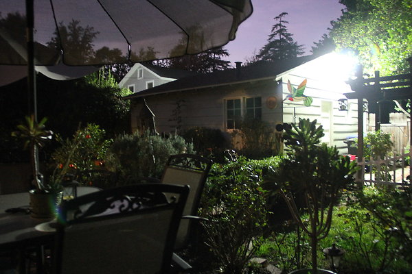 IMG 9863