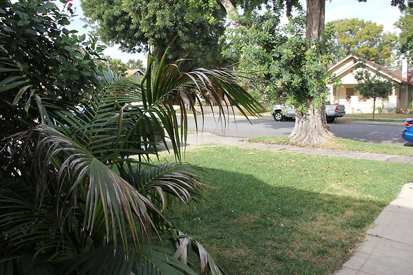 IMG 9679