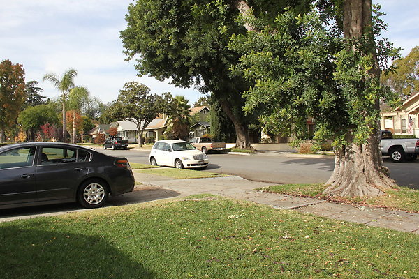 IMG 9681