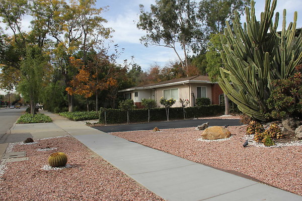 IMG 9758