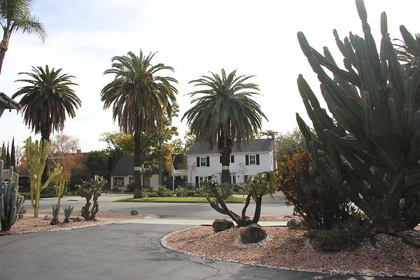 IMG 9755
