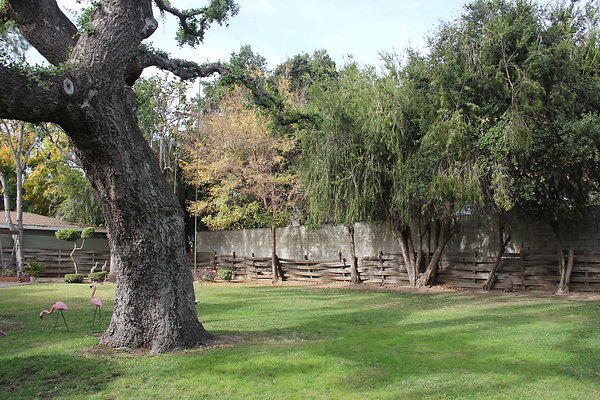 IMG 9752