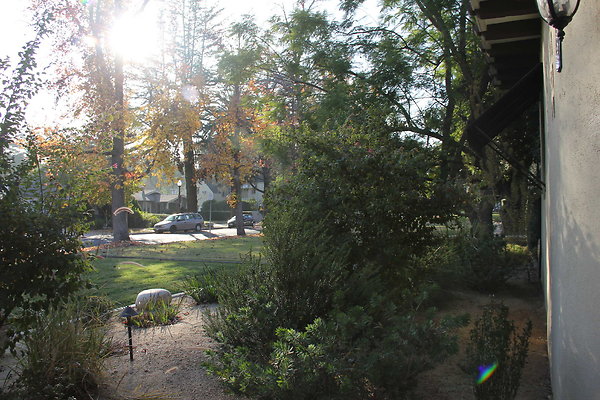 IMG 9834