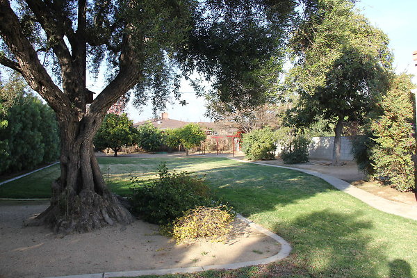 IMG 9829