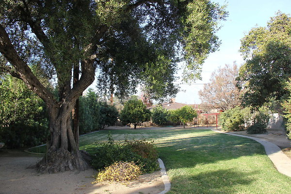 IMG 9828