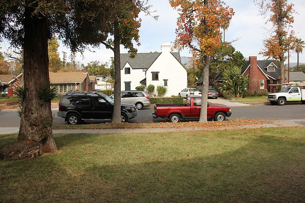 IMG 9721