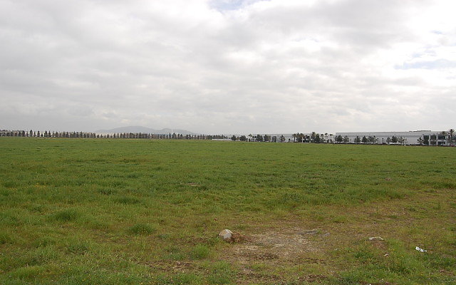 DSC 0116