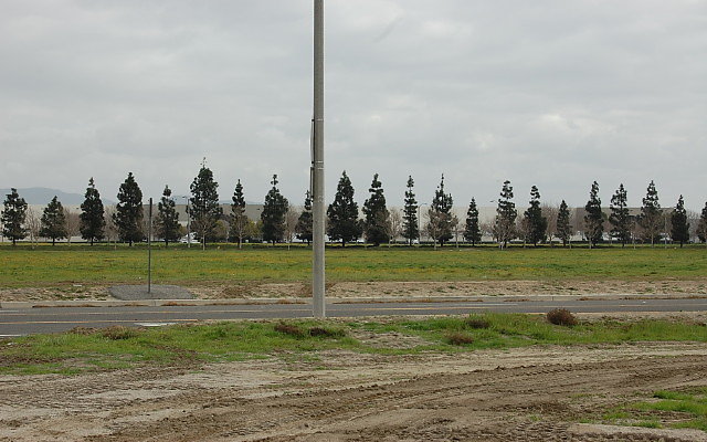 DSC 0081