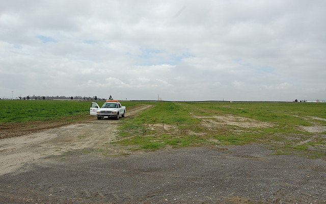 DSC 0090b