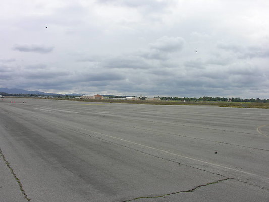 Picture or Video 166