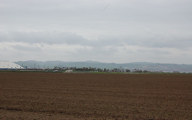 DSC 0147