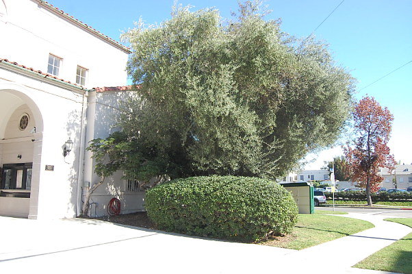 Wilshire Ebell Theater03