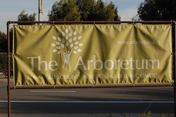 L.A. Arboretum