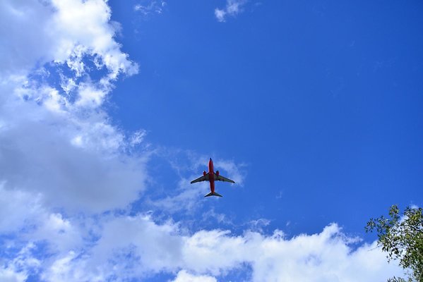 DSC 6350