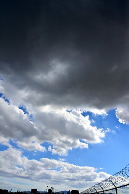 DSC 6267