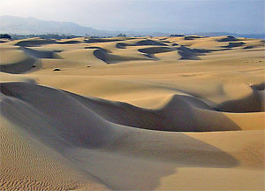 pismo-dunes