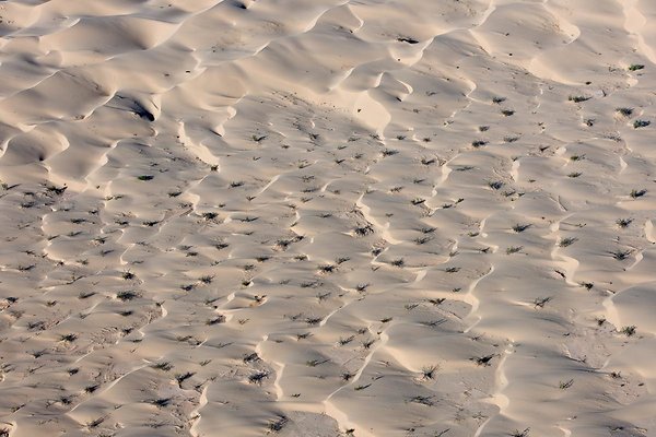 dunes-neal-rantoul-013