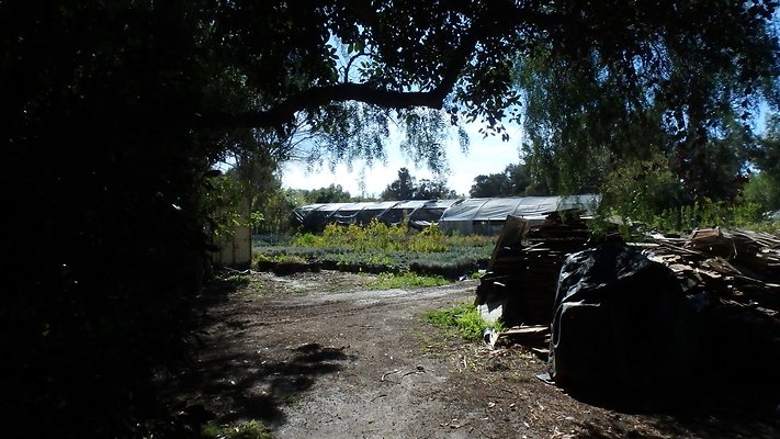 Hartley garden Hwy 118 - 26