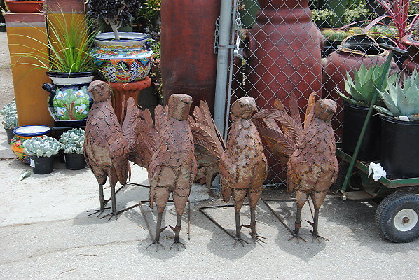 DSC 0138