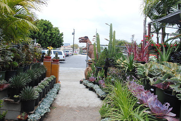 DSC 0135