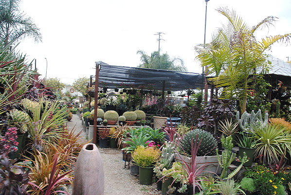 DSC 0134