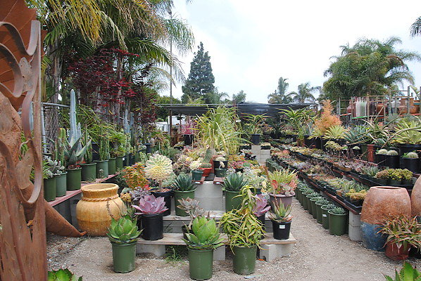 DSC 0160