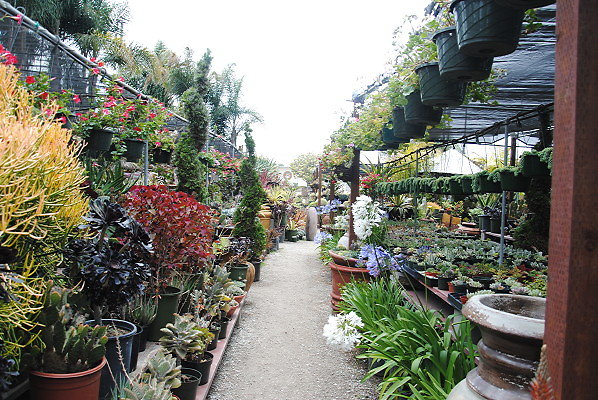 DSC 0123