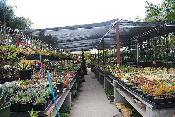 DSC 0128