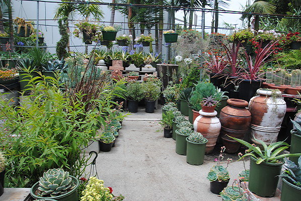 DSC 0124