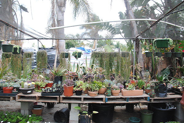 DSC 0120
