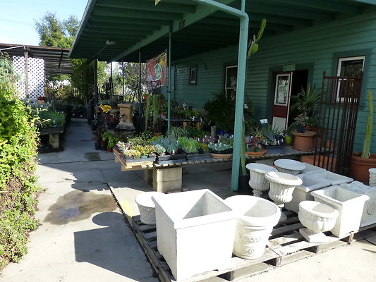 Bellefontaine.Nursery.16
