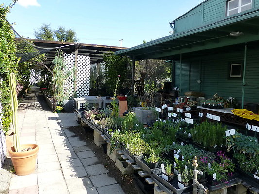 Bellefontaine.Nursery.13